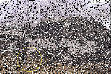 [Noise Image 3]